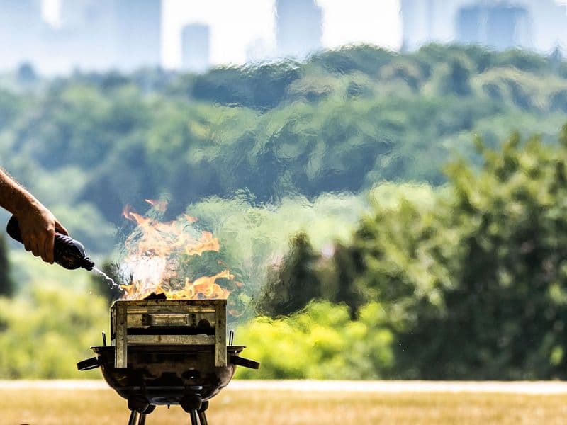 Bereits ein Funke kann bei längerer Trockenheit ausreichen, einen Waldbrand zu entzünden.ünden.