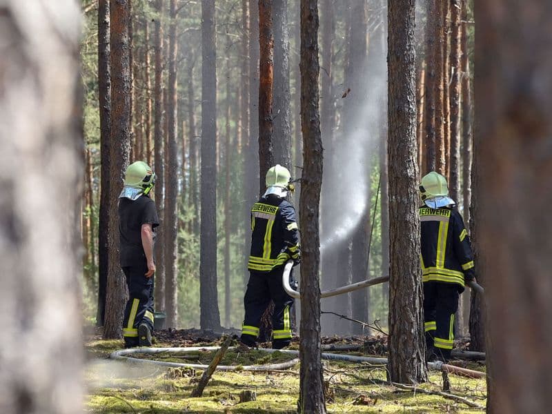 Wenn es im Wald brennt, ist Handeln gefragt. Umso wichtiger, dass man mit dem richtigen Verhalten Brände verhindern kann.
