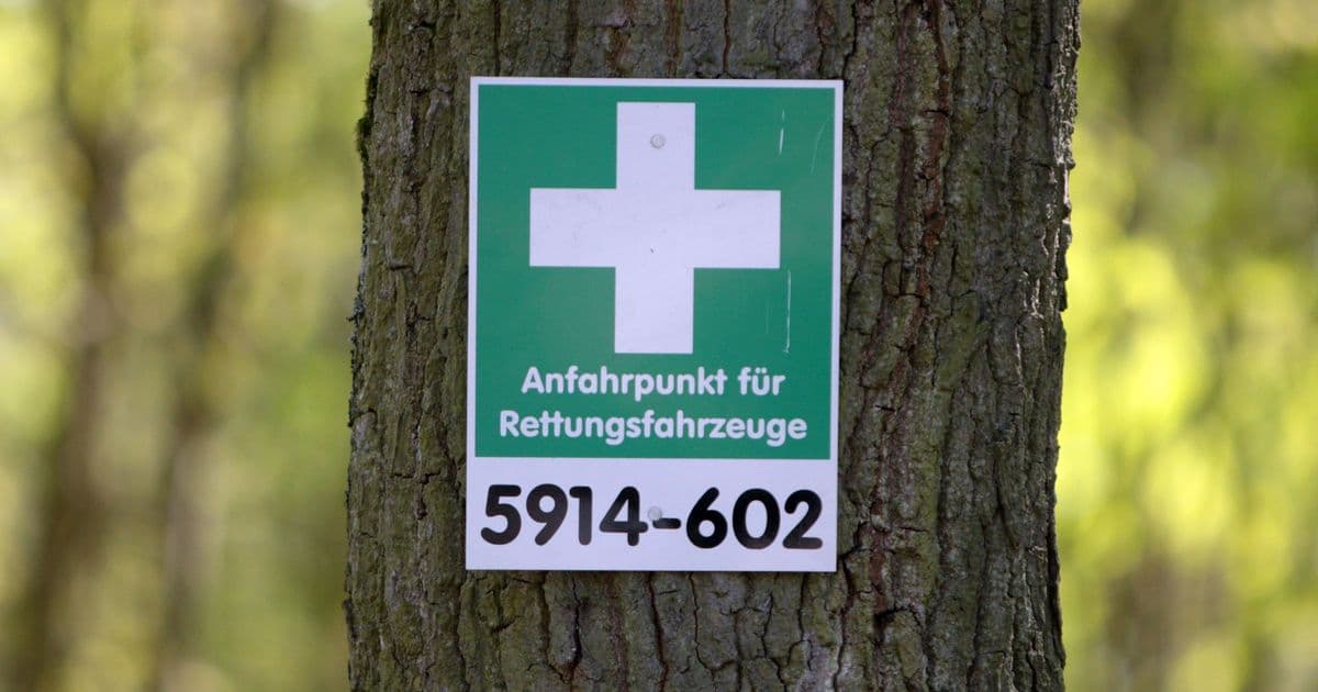 Über die Smartphone-App «Hilfe im Wald» lässt sich der nächste Rettungspunkt finden.