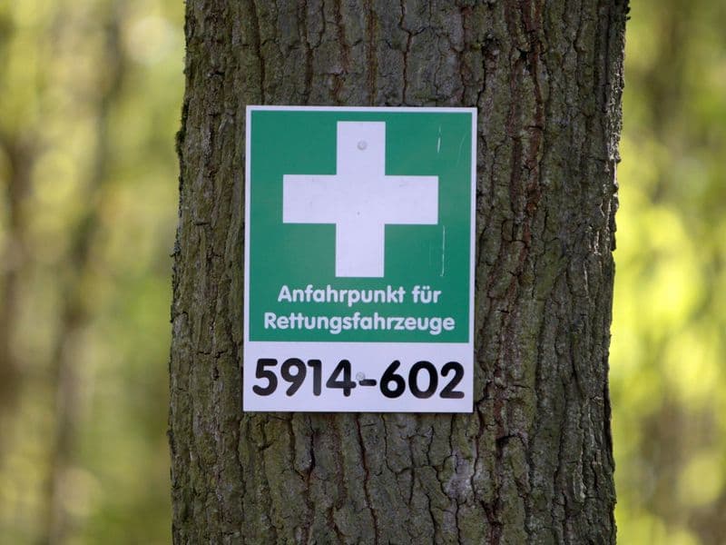 Über die Smartphone-App «Hilfe im Wald» lässt sich der nächste Rettungspunkt finden.
