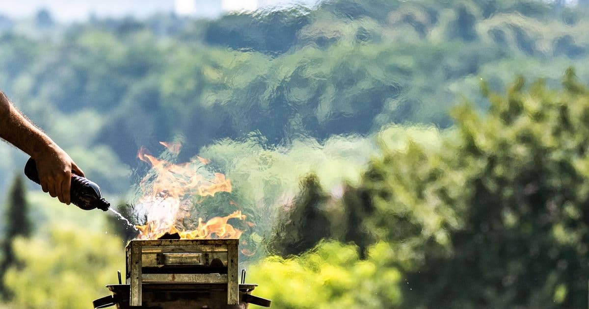 Bereits ein Funke kann bei längerer Trockenheit ausreichen, einen Waldbrand zu entzünden.ünden.