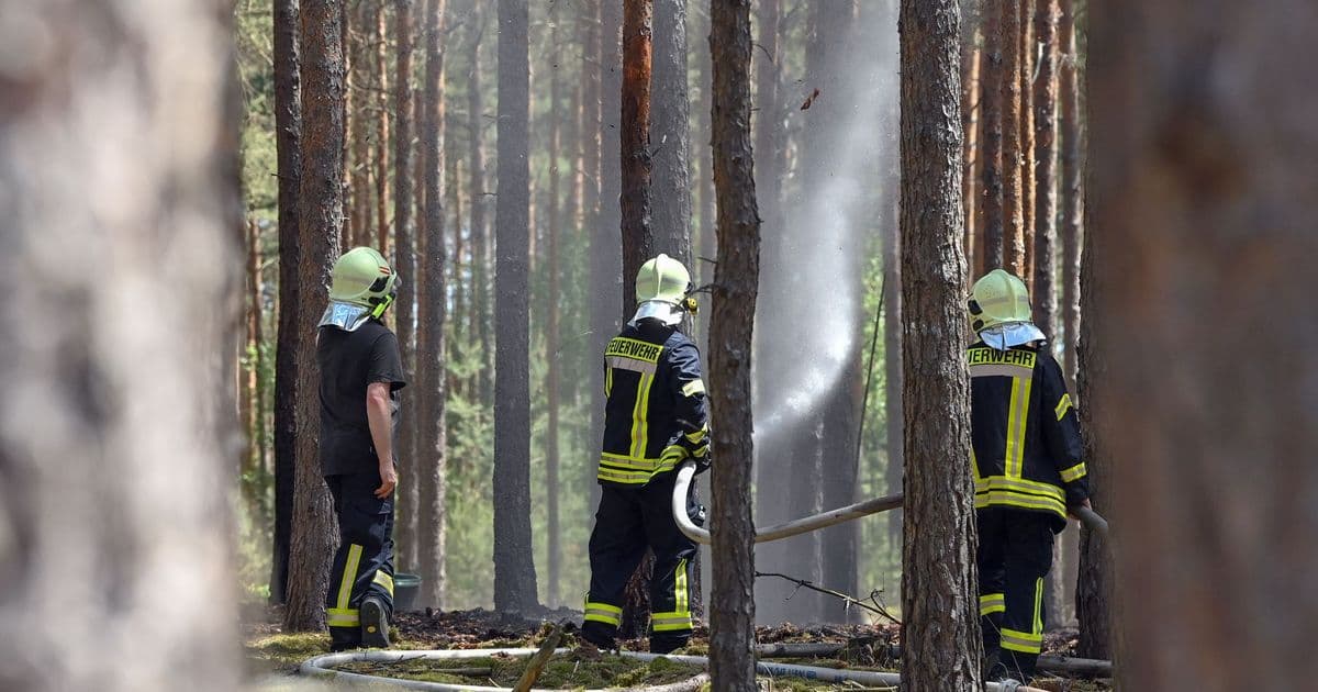 Wenn es im Wald brennt, ist Handeln gefragt. Umso wichtiger, dass man mit dem richtigen Verhalten Brände verhindern kann.